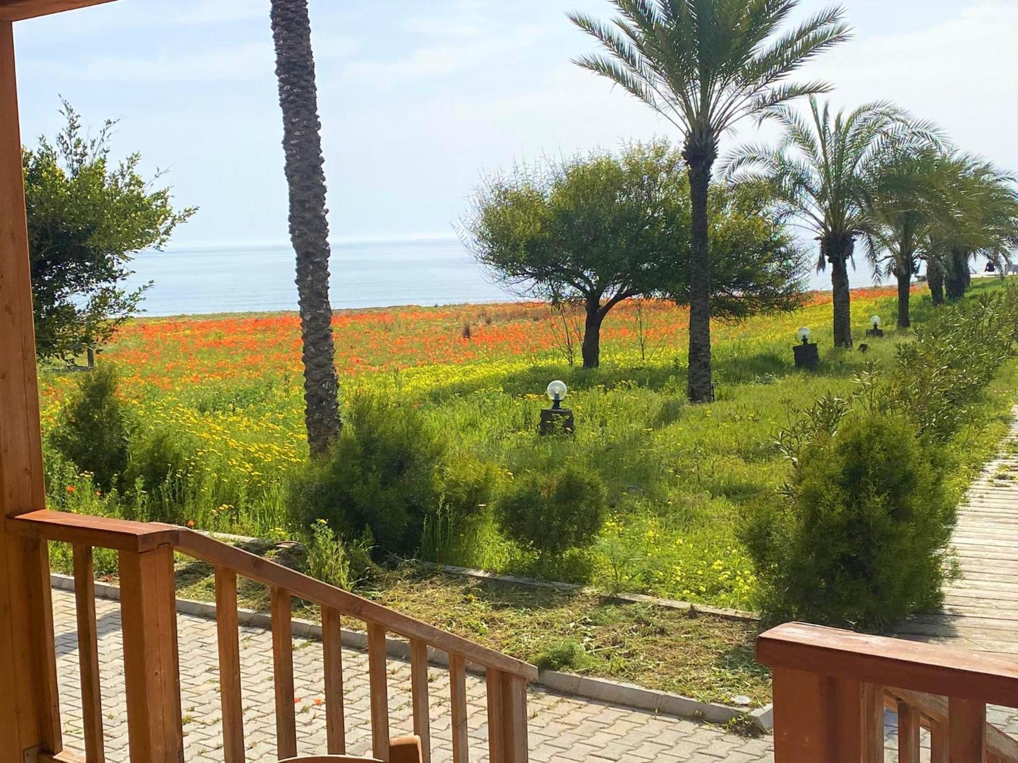 Paradise Karpaz Hotel & Restaurant Rizokarpaso Exterior foto